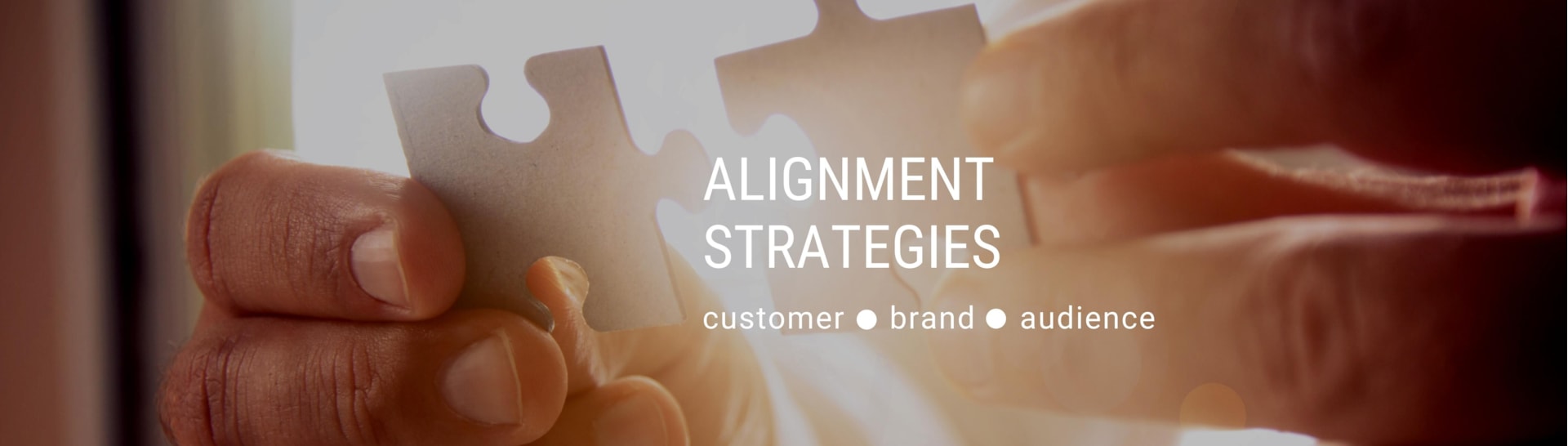 The SMART Co. > Strategies > Alignment
